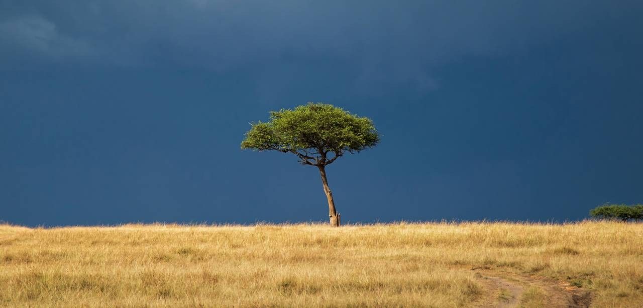 Starke Überschwemmungen in der Provinz Westkap (Foto: AdobeStock -  henk bogaard 436936928)